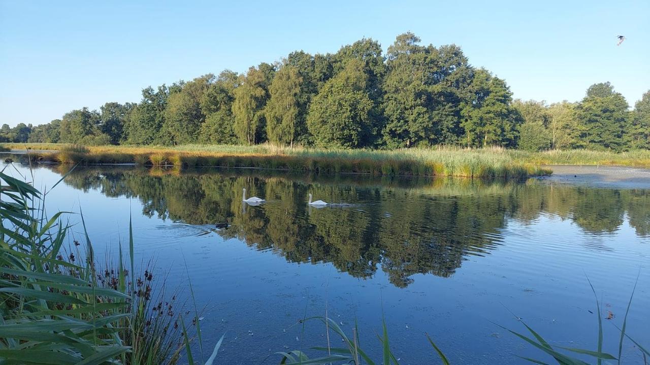 Helle Ferienwohnung In Nettetal Bei Venlo 外观 照片